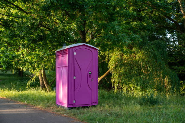 Best Sanitation services for porta potties  in Berthoud, CO